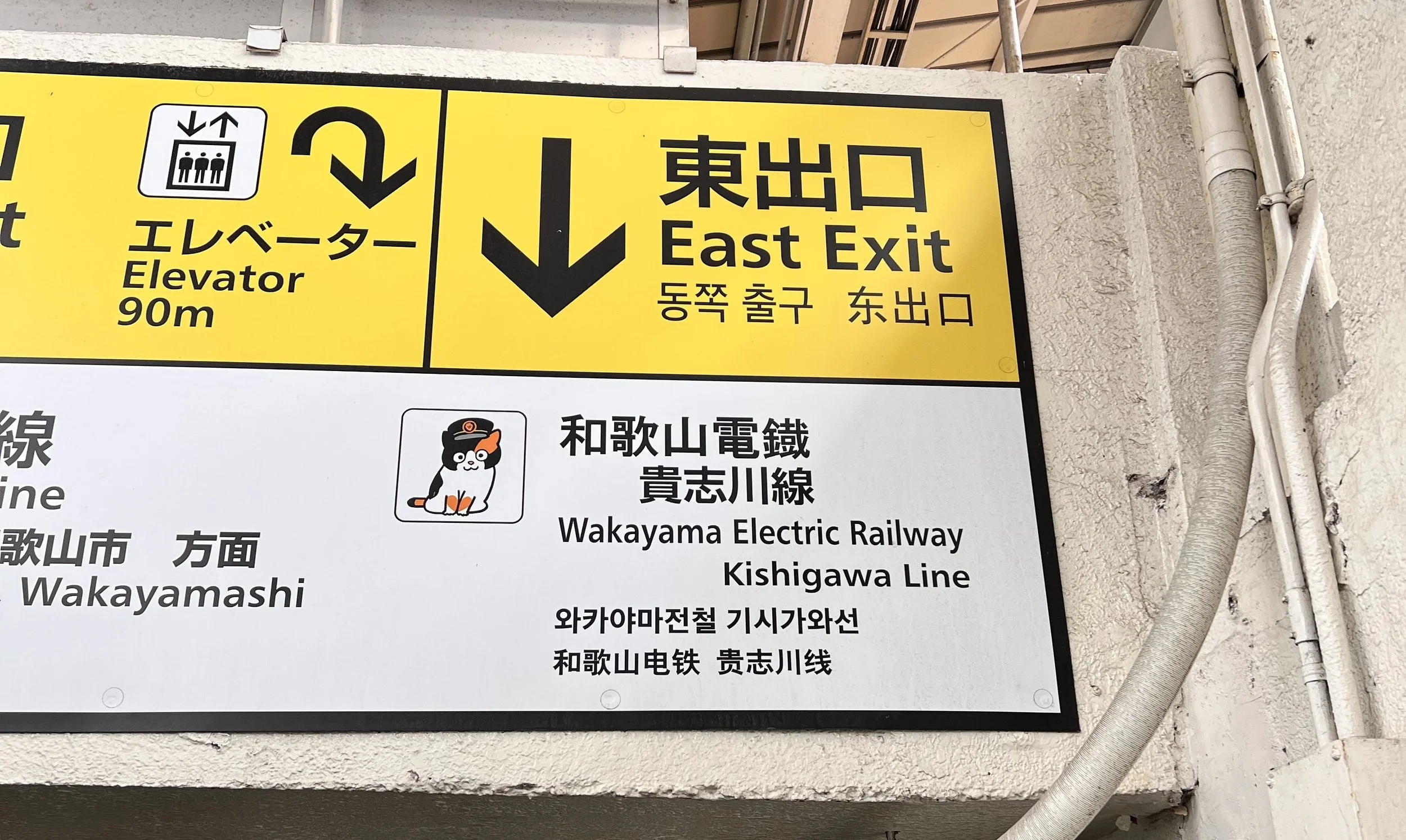 All Aboard the Cat Train! Fun and Unique Day-Trip Idea While
